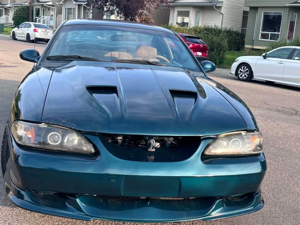 1994 Ford SN95 Mustang - Image 7 of 15