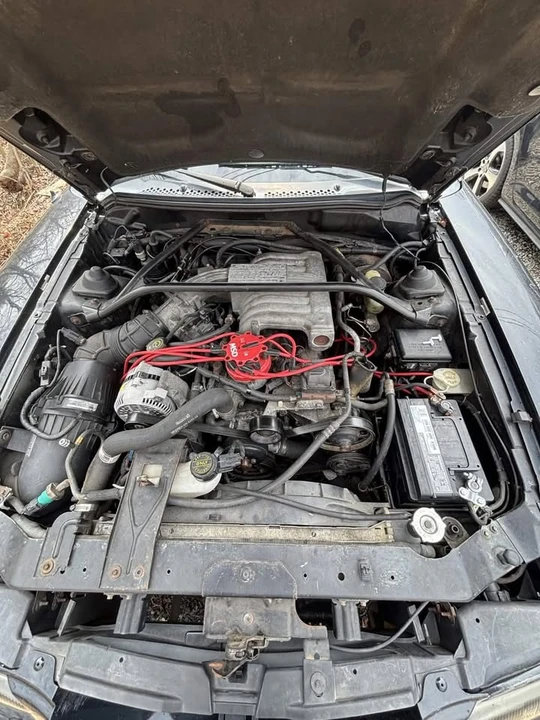 1994 Ford SN95 Mustang - Image 6 of 15