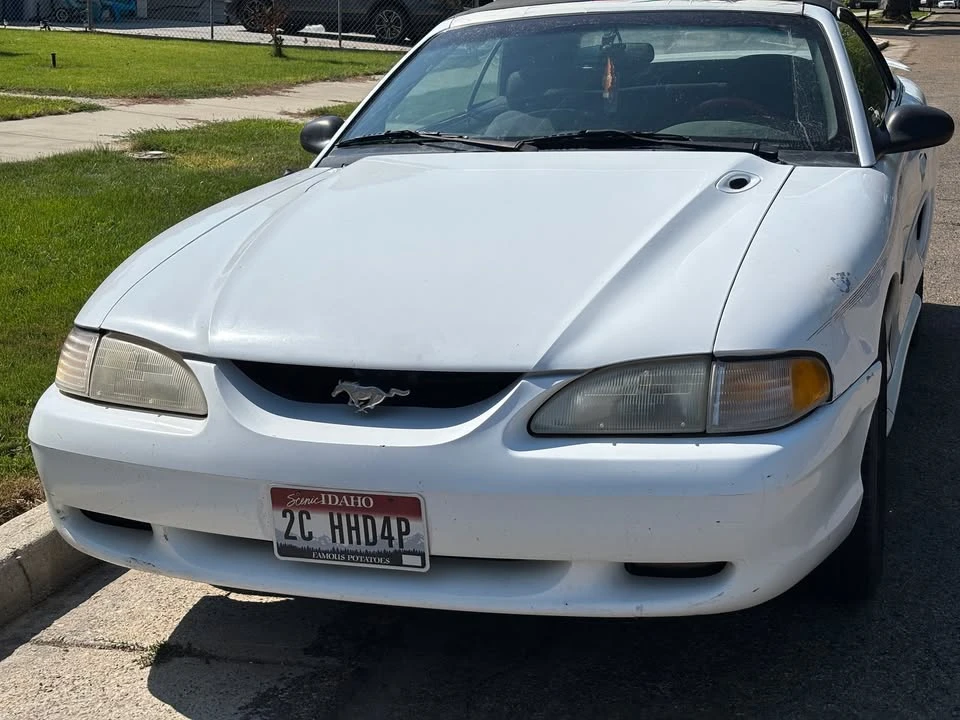 1994 Ford SN95 Mustang - Image 5 of 18