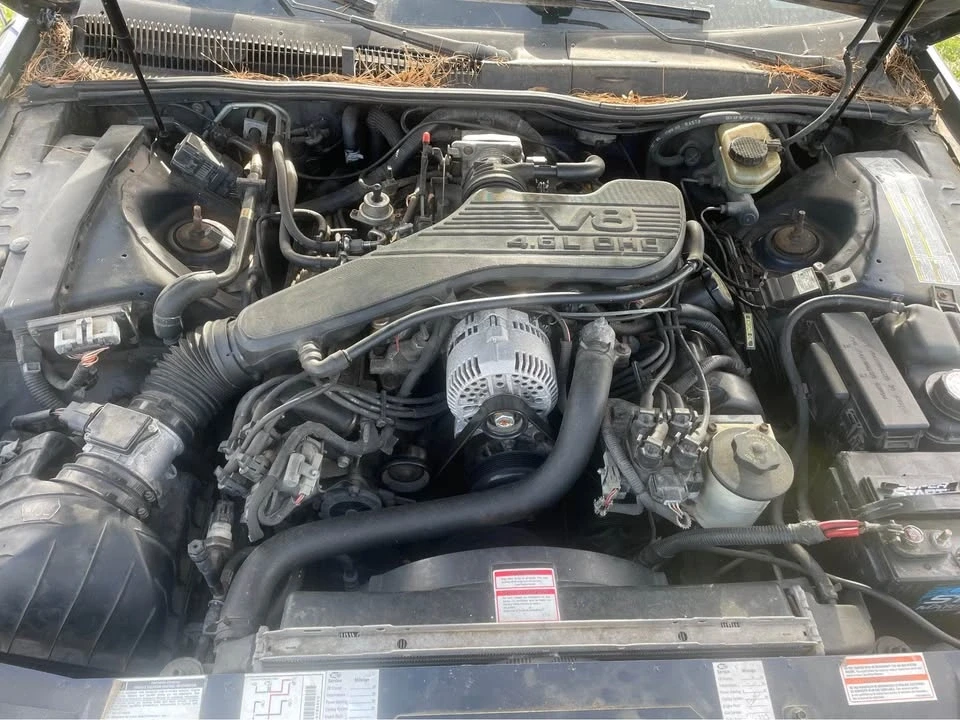 1994 Ford Thunderbird 10th Gen - Image 9 of 9