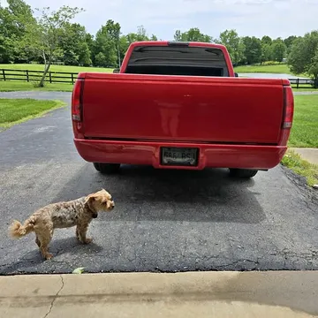 1994 GMC 1500 Regular Cab Short Bed