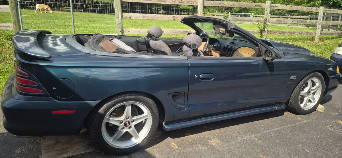 1994 Ford SN95 Mustang - Image 12 of 12