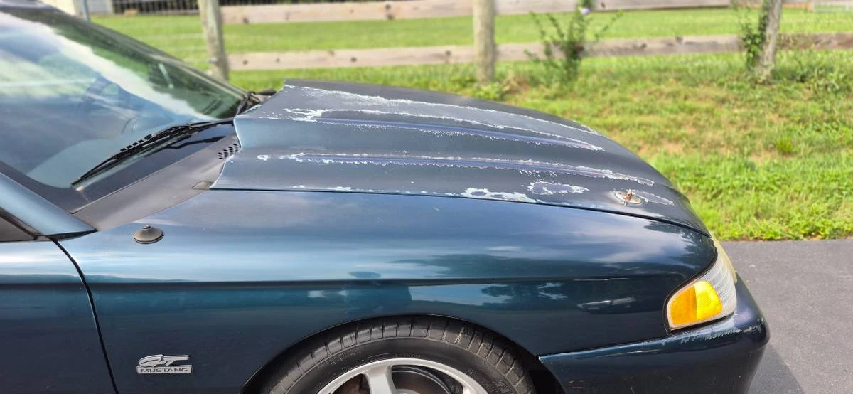 1994 Ford SN95 Mustang - Image 4 of 12