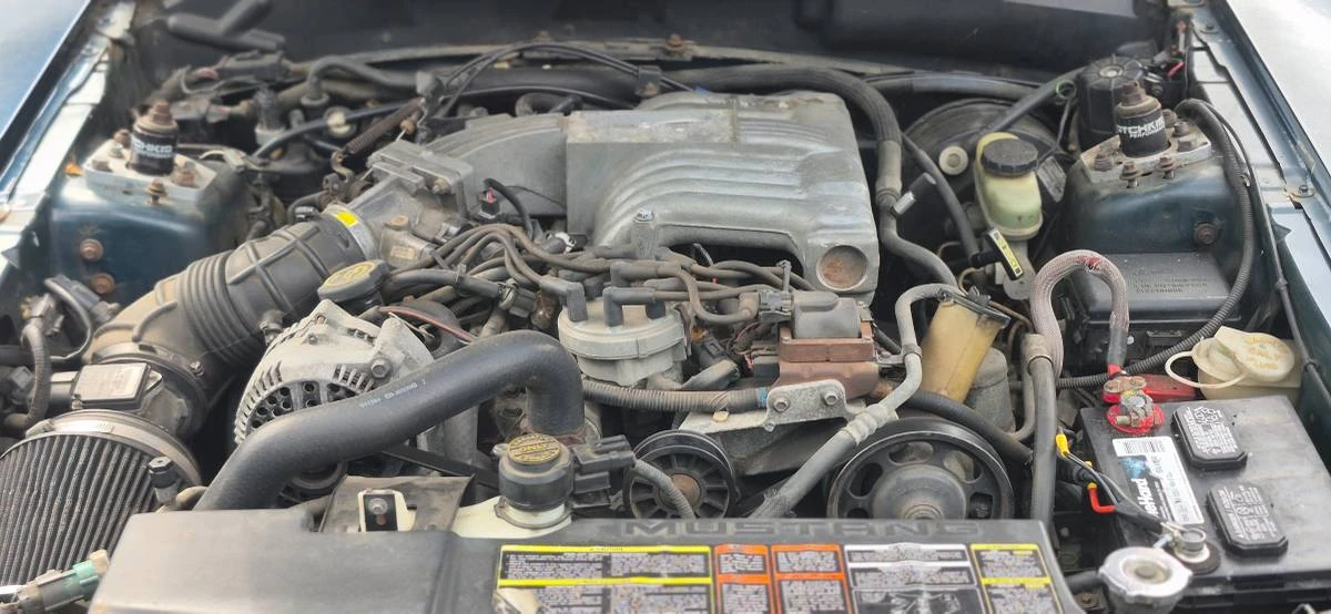 1994 Ford SN95 Mustang - Image 3 of 12