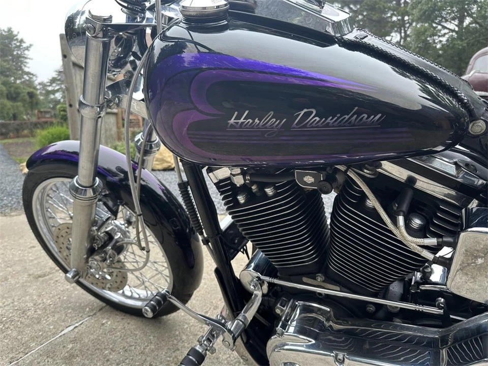 1994 Harley-Davidson Shovelhead - Image 9 of 24