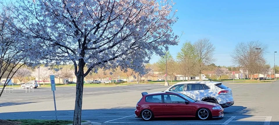 1994 Honda EG Civic Si - Image 10 of 20
