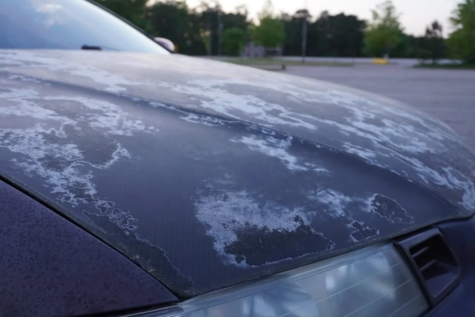 1994 Honda Prelude 4th Gen - Image 12 of 20
