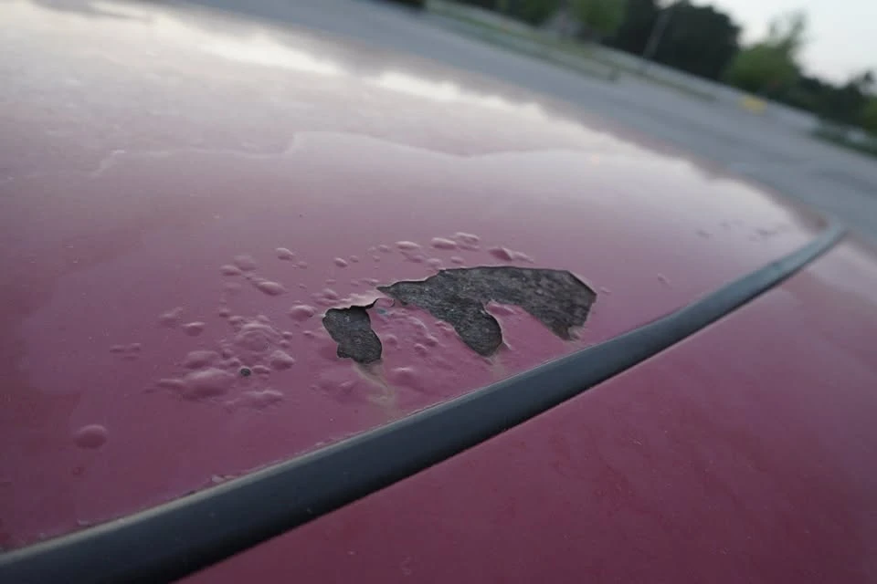 1994 Honda Prelude 4th Gen - Image 10 of 20
