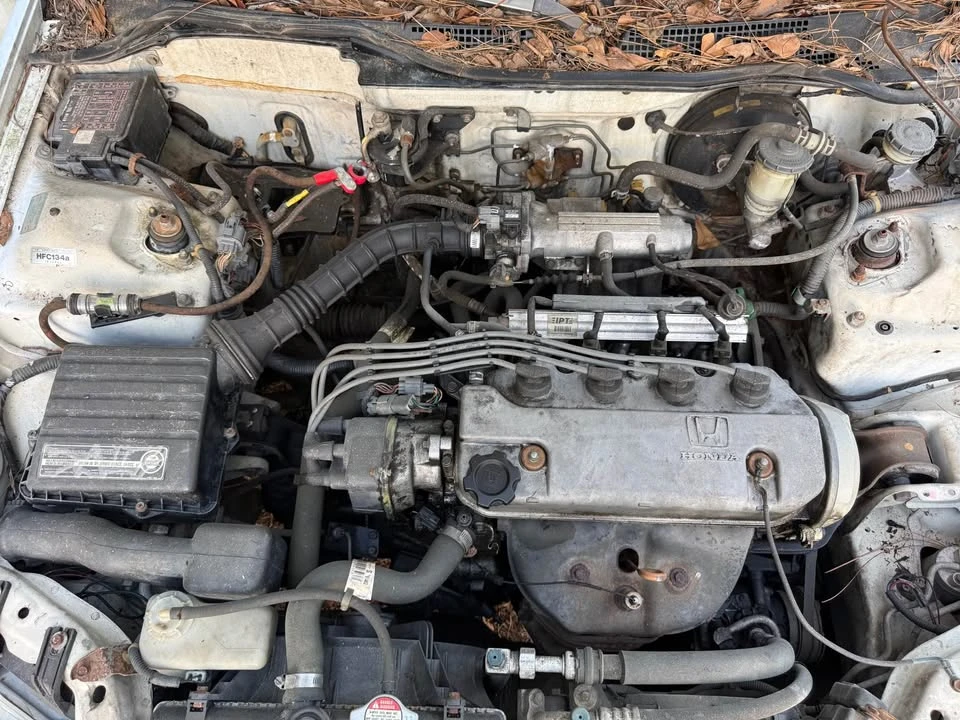 1994 Honda EG Civic - Image 13 of 15