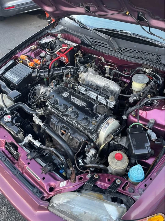 1994 Honda EG Civic - Image 7 of 7