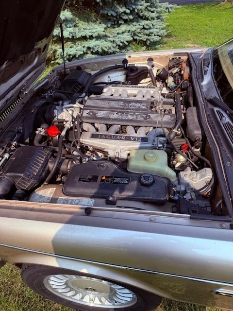 1994 Jaguar XJ40 XJ - Image 5 of 20