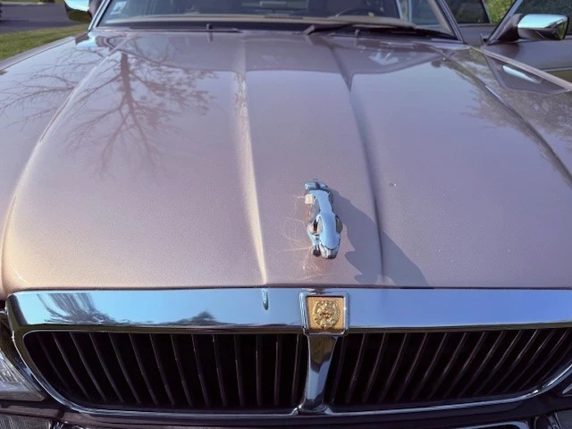 1994 Jaguar XJ40 XJ - Image 20 of 20
