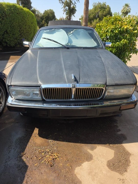 1994 Jaguar XJ40 XJ - Image 3 of 12