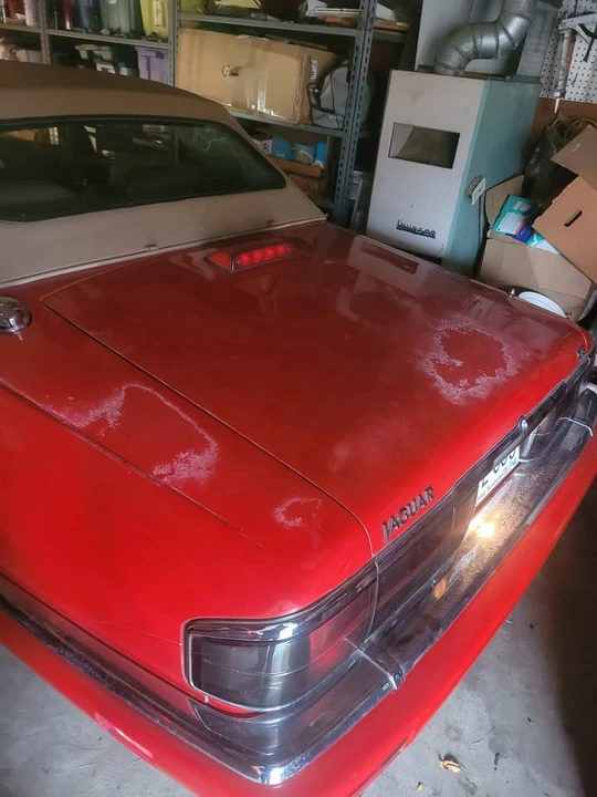 1994 Jaguar XJS Convertible - Image 2 of 9