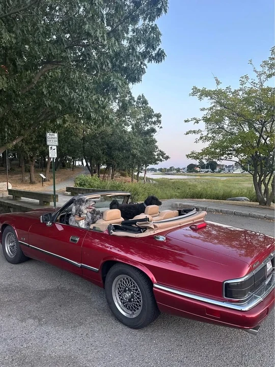 1994 Jaguar XJS Convertible - Image 2 of 2