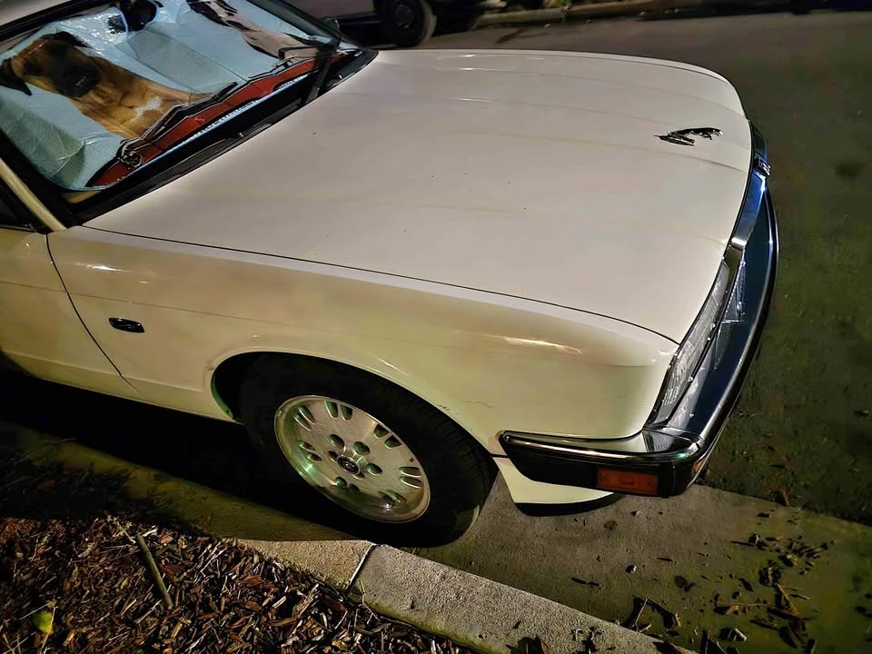 1994 Jaguar X-Type - Image 1 of 7