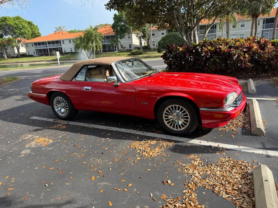 1994 Jaguar XJS - Image 8 of 11