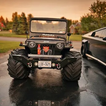 1994 Jeep Mahindra Willy's