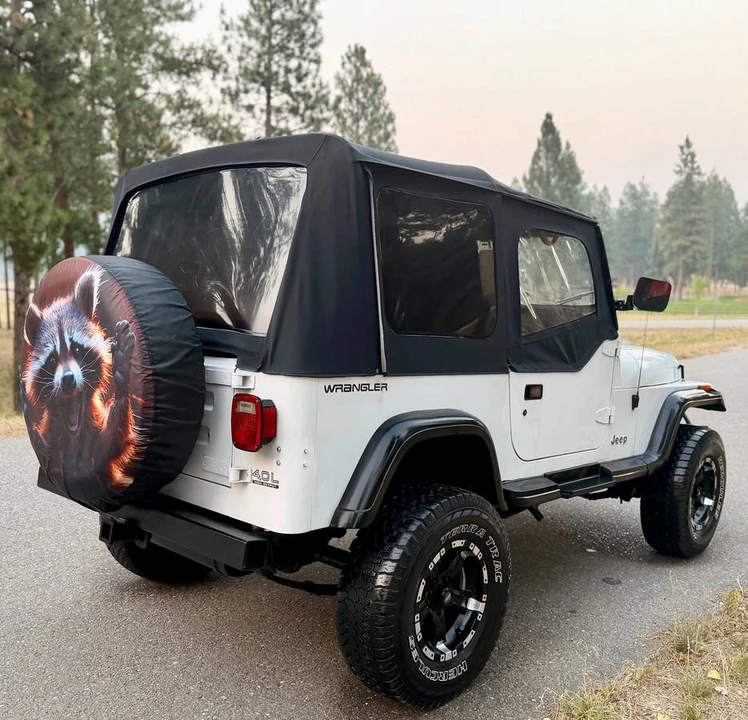 1994 Jeep YJ Wrangler - Image 16 of 20