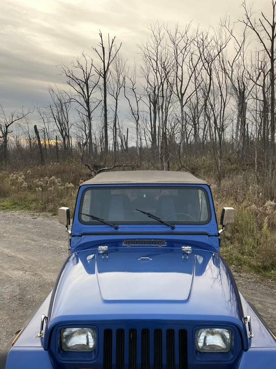 1994 Jeep YJ Wrangler - Image 27 of 31
