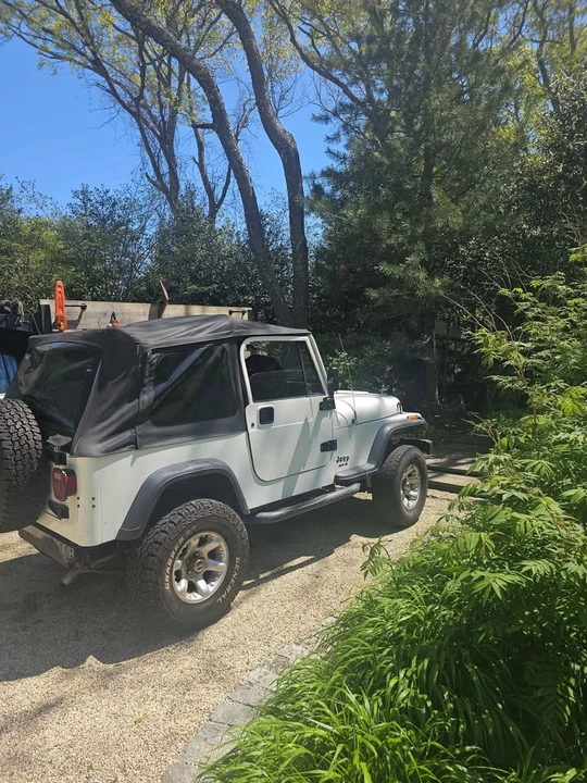1994 Jeep YJ Wrangler - Image 3 of 6