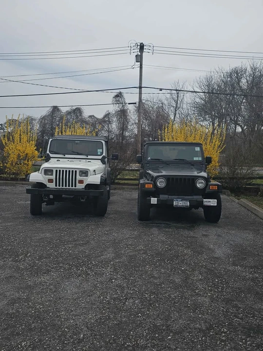 1994 Jeep YJ Wrangler - Image 6 of 6