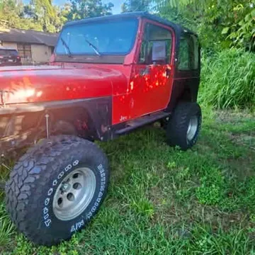 1994 Jeep Wrangler Willys Wheeler Sport Utility 2D