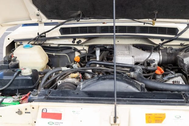 1994 Land Rover Range Rover Classic - Image 6 of 7