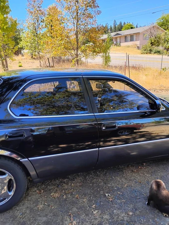 1994 Toyota Celsior 1st Gen - Image 5 of 20
