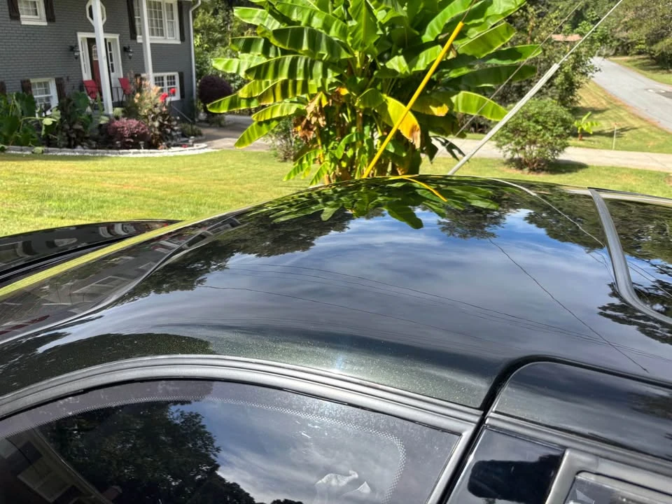1994 Lexus SC400 - Image 16 of 20