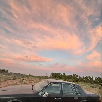 1994 Lincoln Town Car Signature Sedan 4D