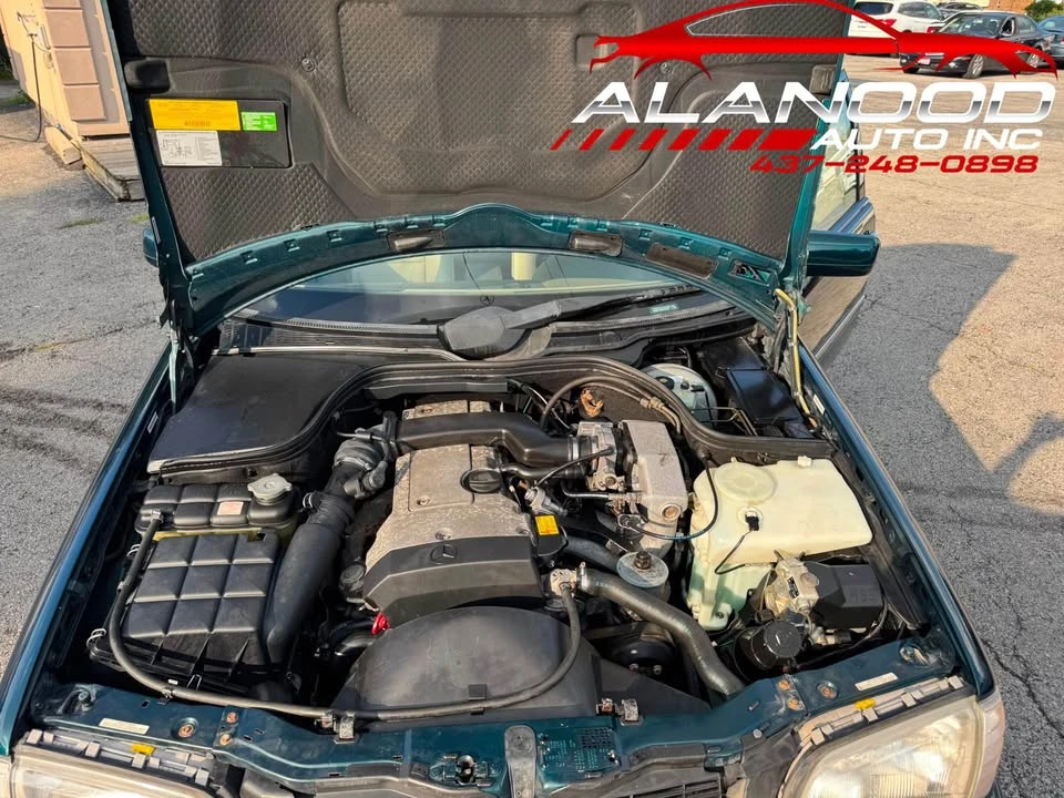 1994 Mercedes-Benz W202 C-Class - Image 15 of 16