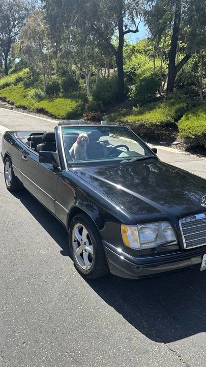 1994 Mercedes-Benz W124 E-Class - Image 2 of 21