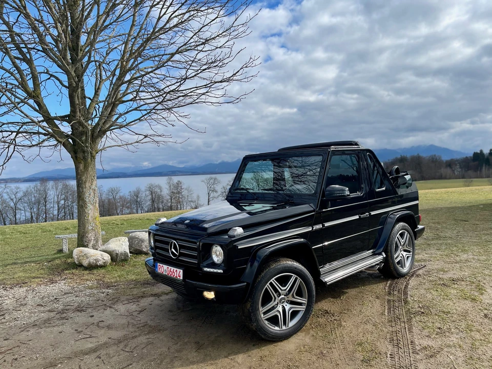 1994 Mercedes-Benz W463 G-Class - Image 17 of 31