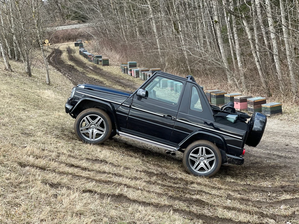 1994 Mercedes-Benz W463 G-Class - Image 26 of 31