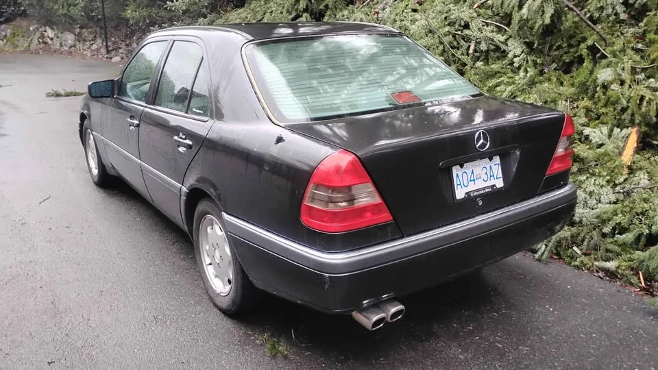 1994 Mercedes-Benz W202 C-Class - Image 11 of 12