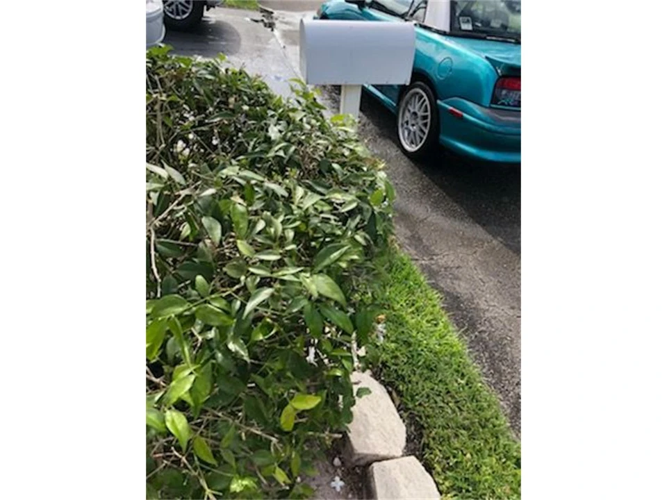 1994 Mercury Capri - Image 17 of 21