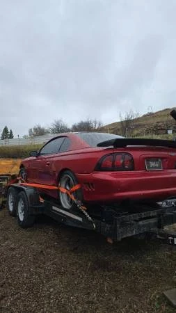 1994 Ford SN95 Mustang - Image 2 of 19