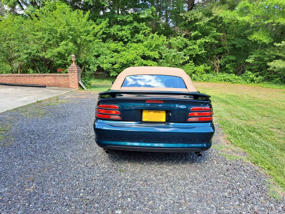 1994 Ford SN95 Mustang - Image 3 of 12