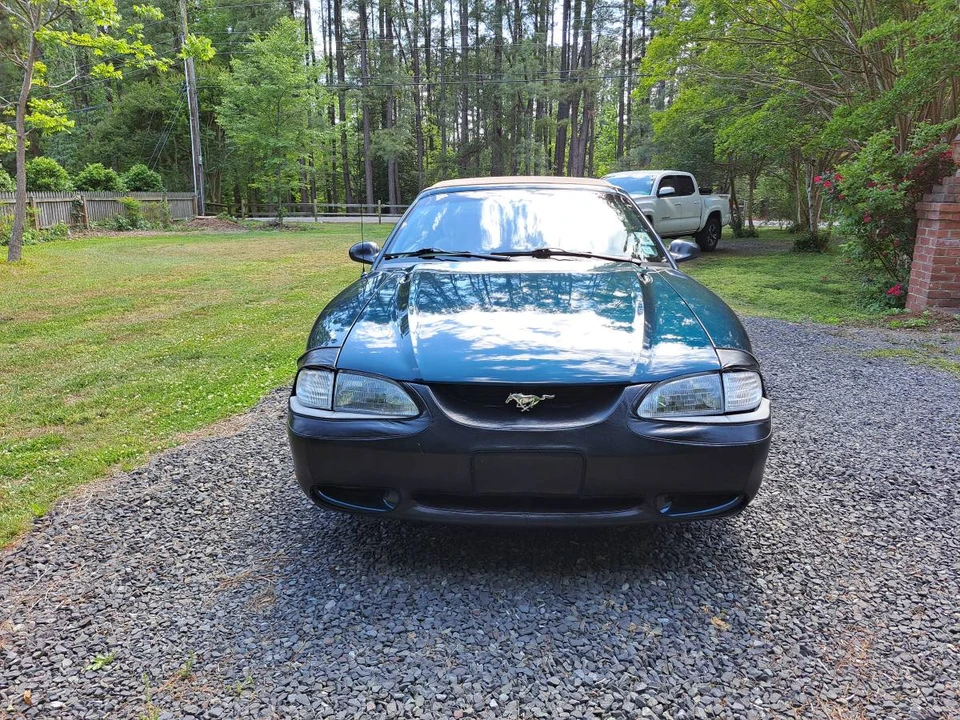 1994 Ford SN95 Mustang - Image 7 of 12