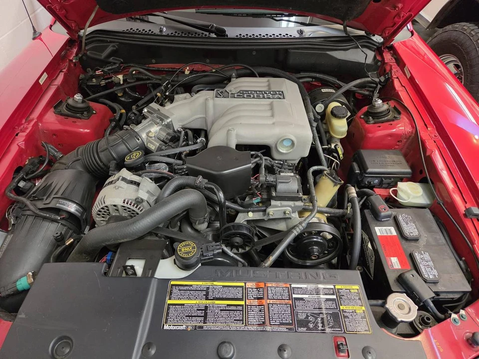 1994 Ford SN95 Mustang Cobra - Image 11 of 16