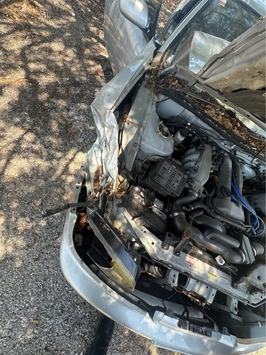 1994 Nissan S14 Silvia - Image 3 of 6
