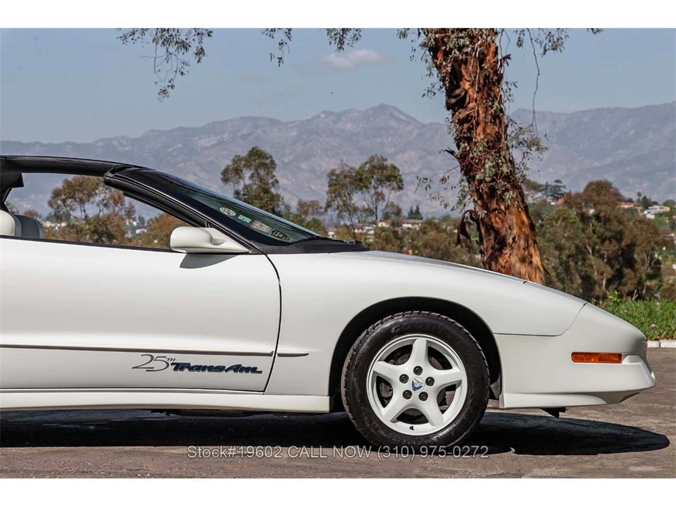 1994 Pontiac Firebird 4th Gen - Image 19 of 31