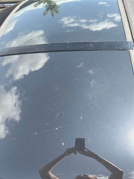 1994 Pontiac Firebird 4th Gen - Image 7 of 8