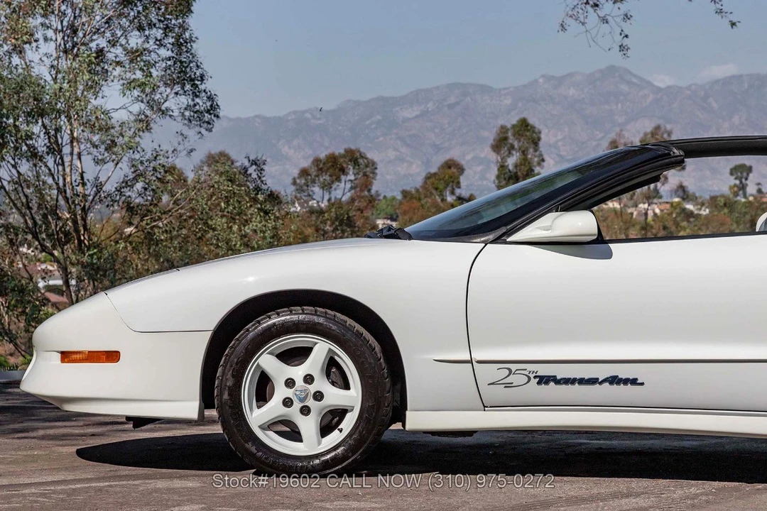 1994 Pontiac Firebird Trans Am 4th Gen - Image 24 of 31