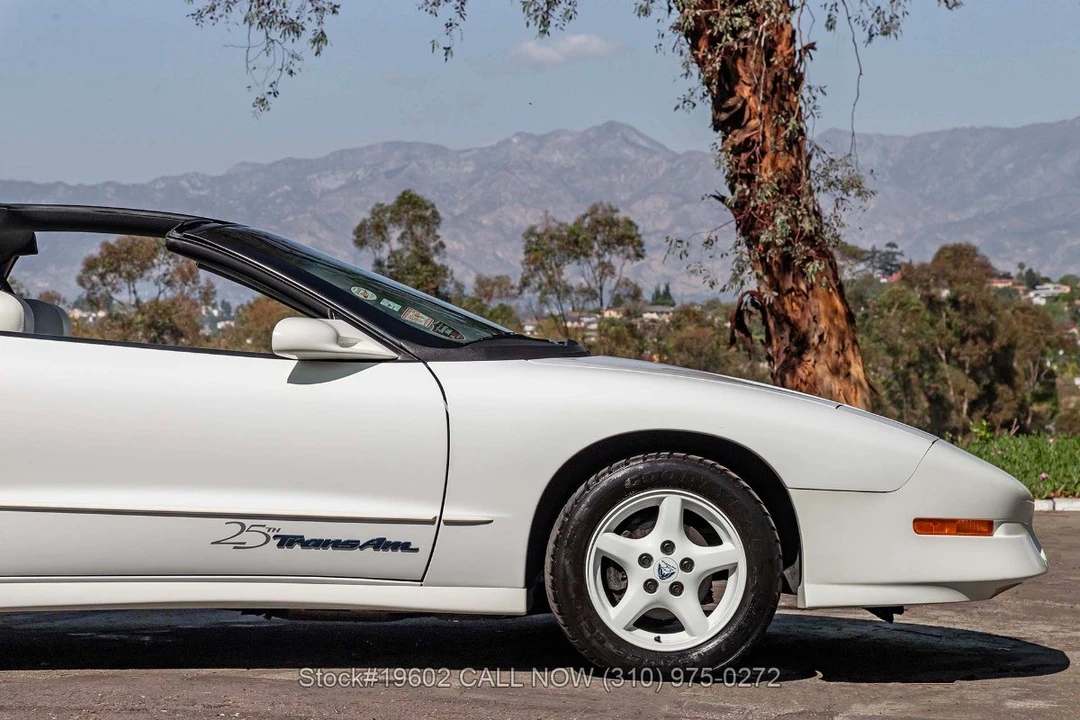 1994 Pontiac Firebird Trans Am 4th Gen - Image 21 of 31
