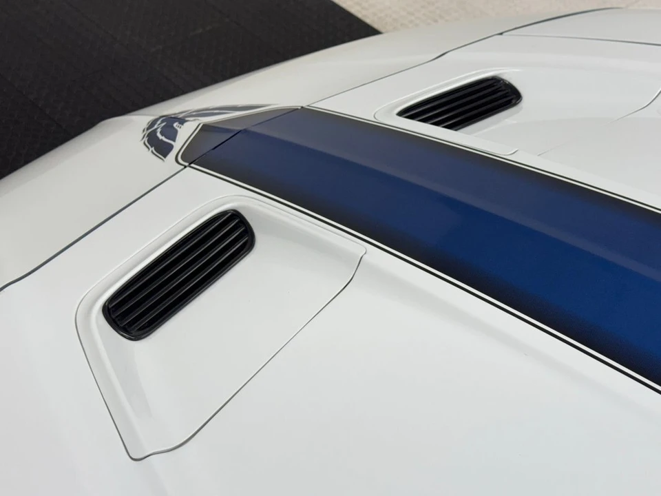1994 Pontiac Firebird Trans Am 4th Gen - Image 11 of 12