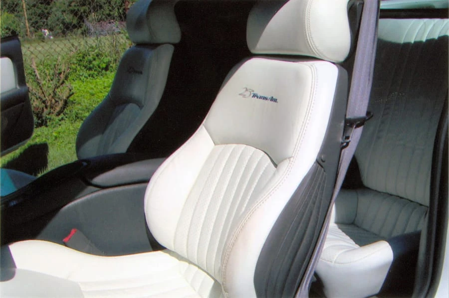 1994 Pontiac Firebird Trans Am 4th Gen - Image 6 of 10