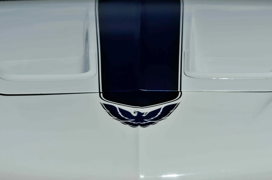 1994 Pontiac Firebird Trans Am 4th Gen - Image 9 of 12
