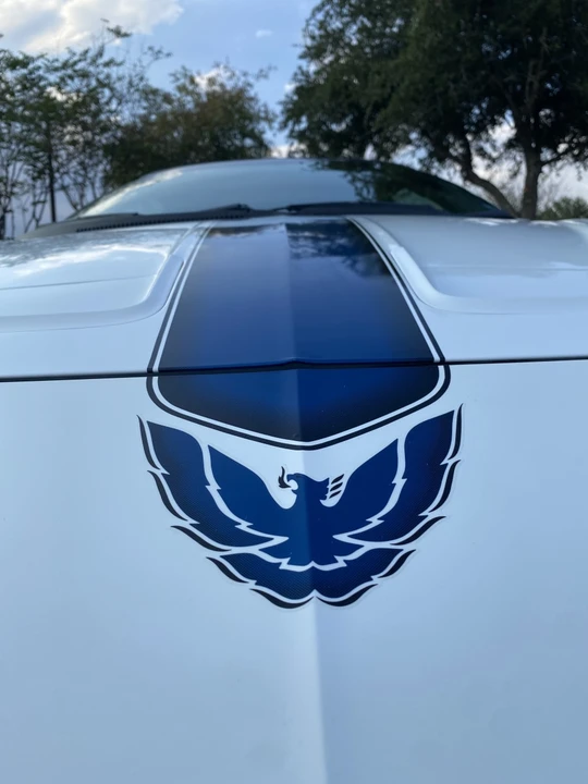 1994 Pontiac Firebird Trans Am 4th Gen - Image 9 of 30
